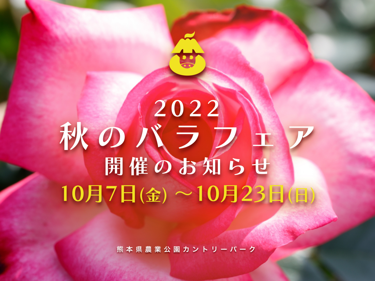 【2022　秋のバラフェア　開催のお知らせ】10月7日(金)～10月23日(日)の17日間