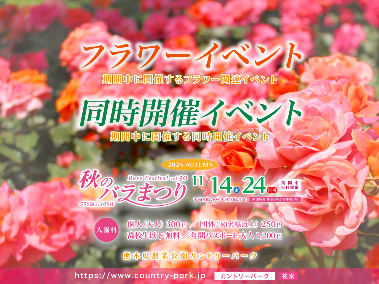 第30回 秋のバラまつり 開催イベントのご案内