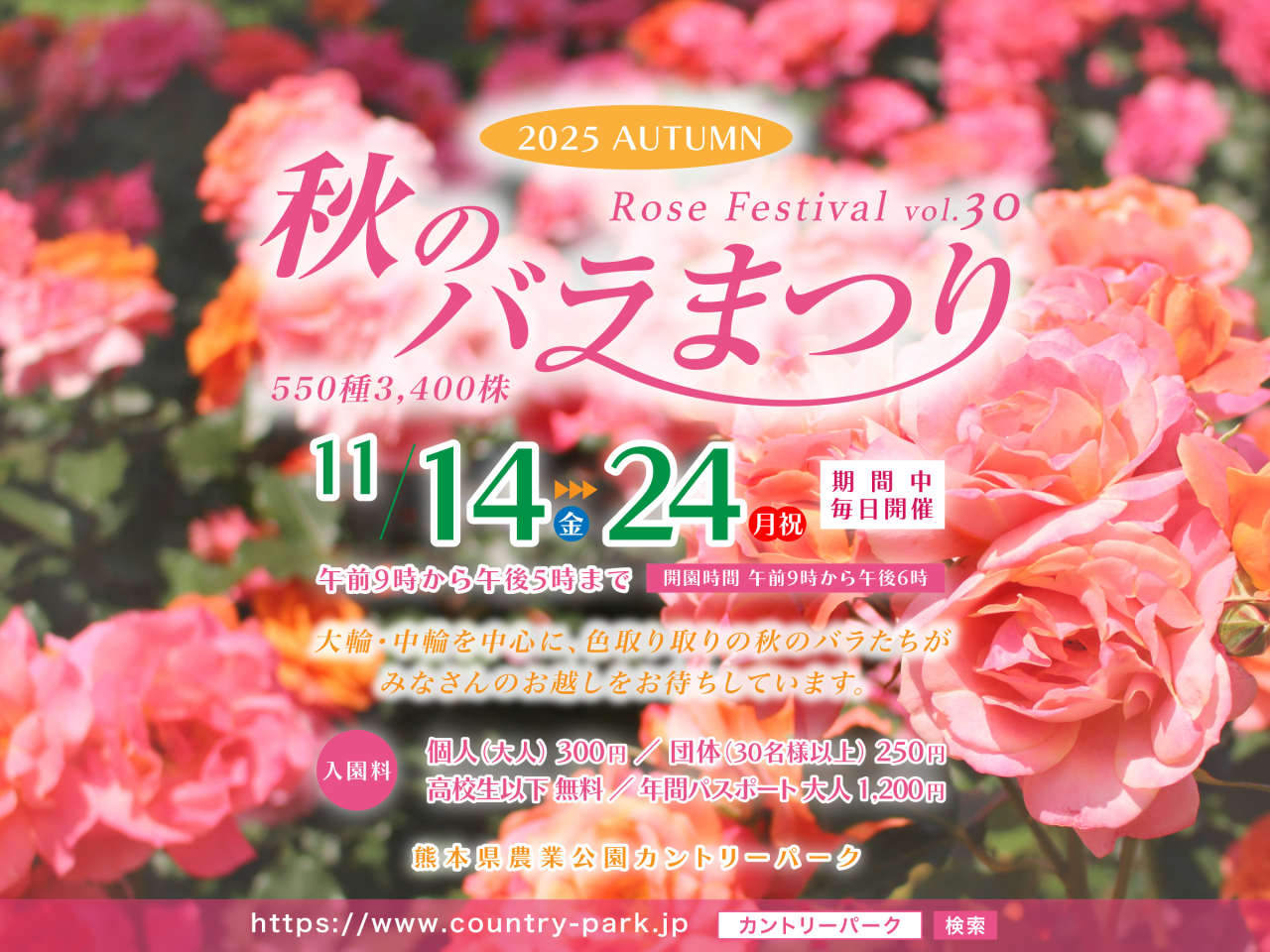 第30回 秋のバラまつりのご案内