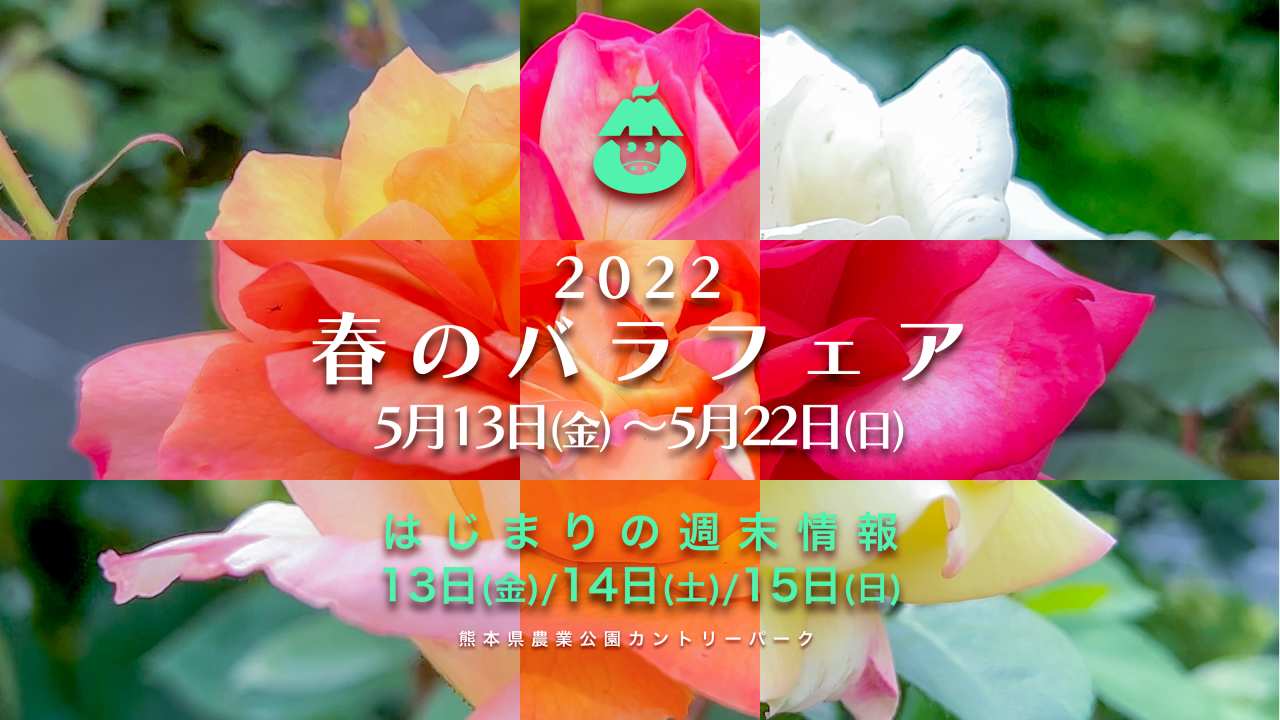 2022　春のバラフェア　はじまりの週末情報