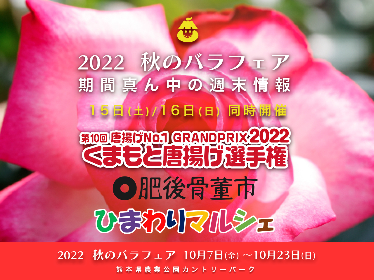 2022 秋のバラフェア 期間真ん中の週末情報