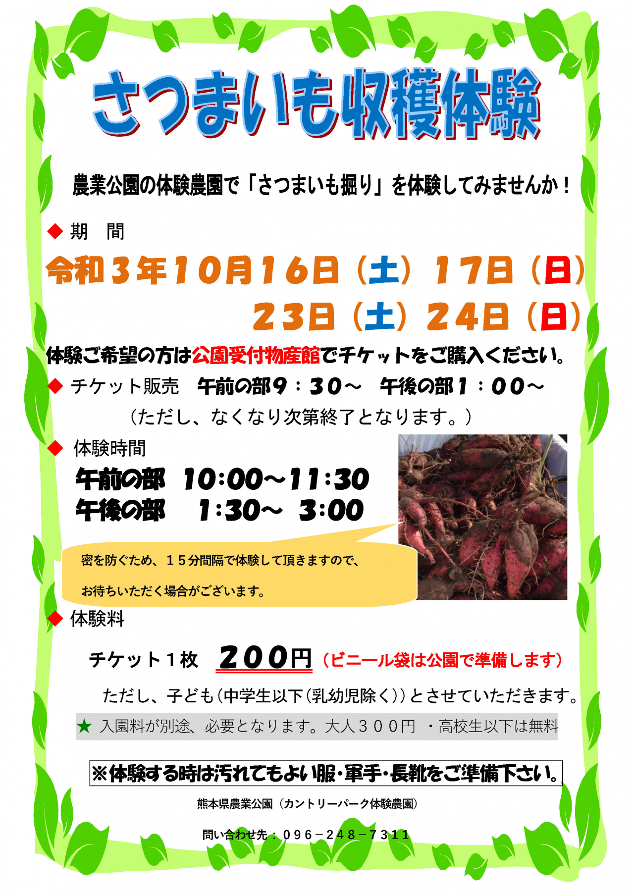 さつまいも収穫体験 受付方法変更
