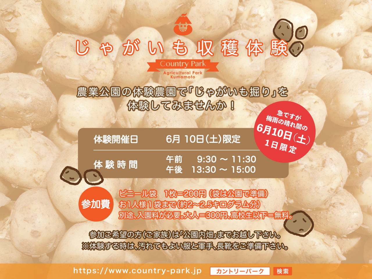 6月10日(土) 1日限定・じゃがいも収穫体験
