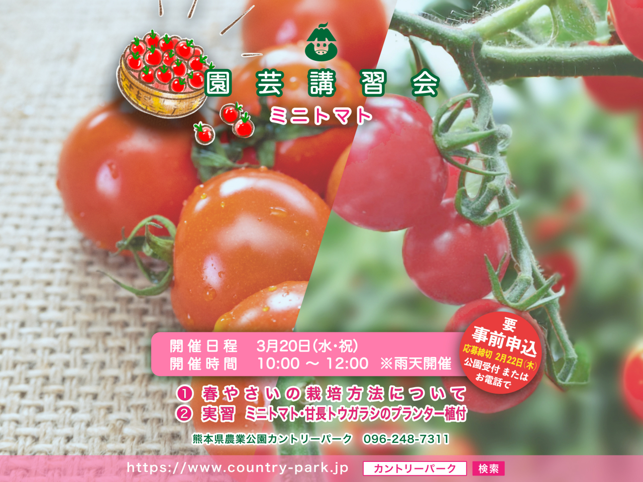 ミニトマト　園芸講習会　参加費無料「春やさいの作り方」