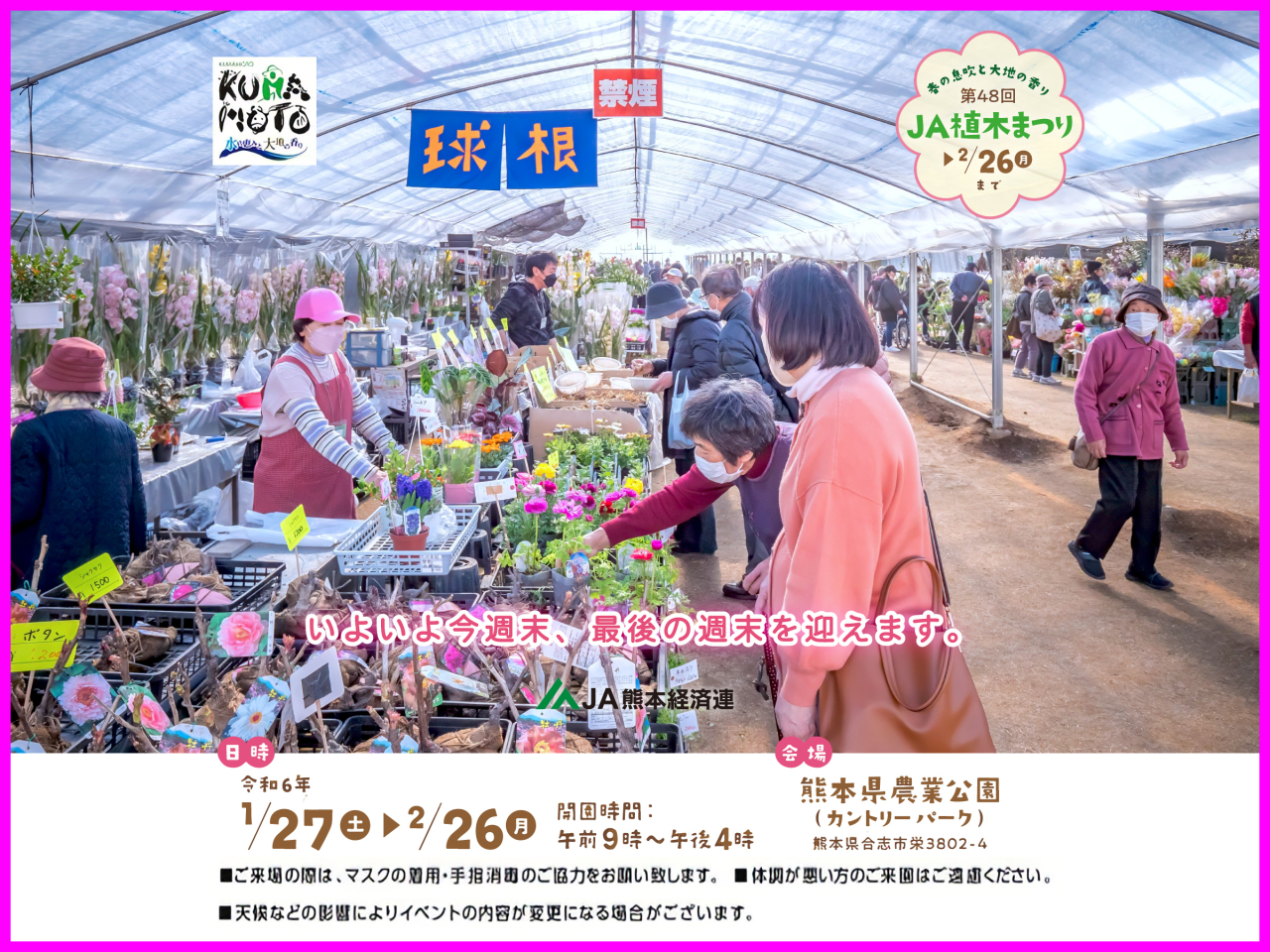 2月26日（月）まで！　第48回 ＪＡ植木まつり　最後の週末！