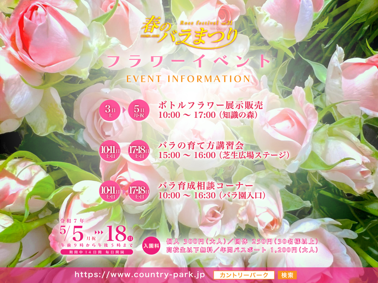 令和7年 第31回 春のバラまつり イベントのご案内3