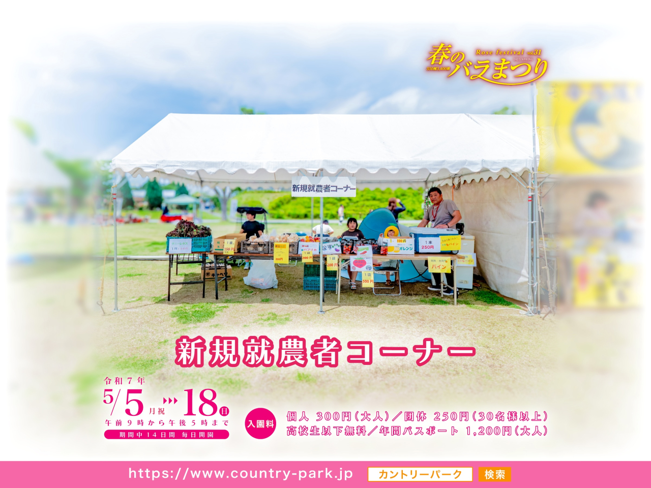 新規就農者コーナー